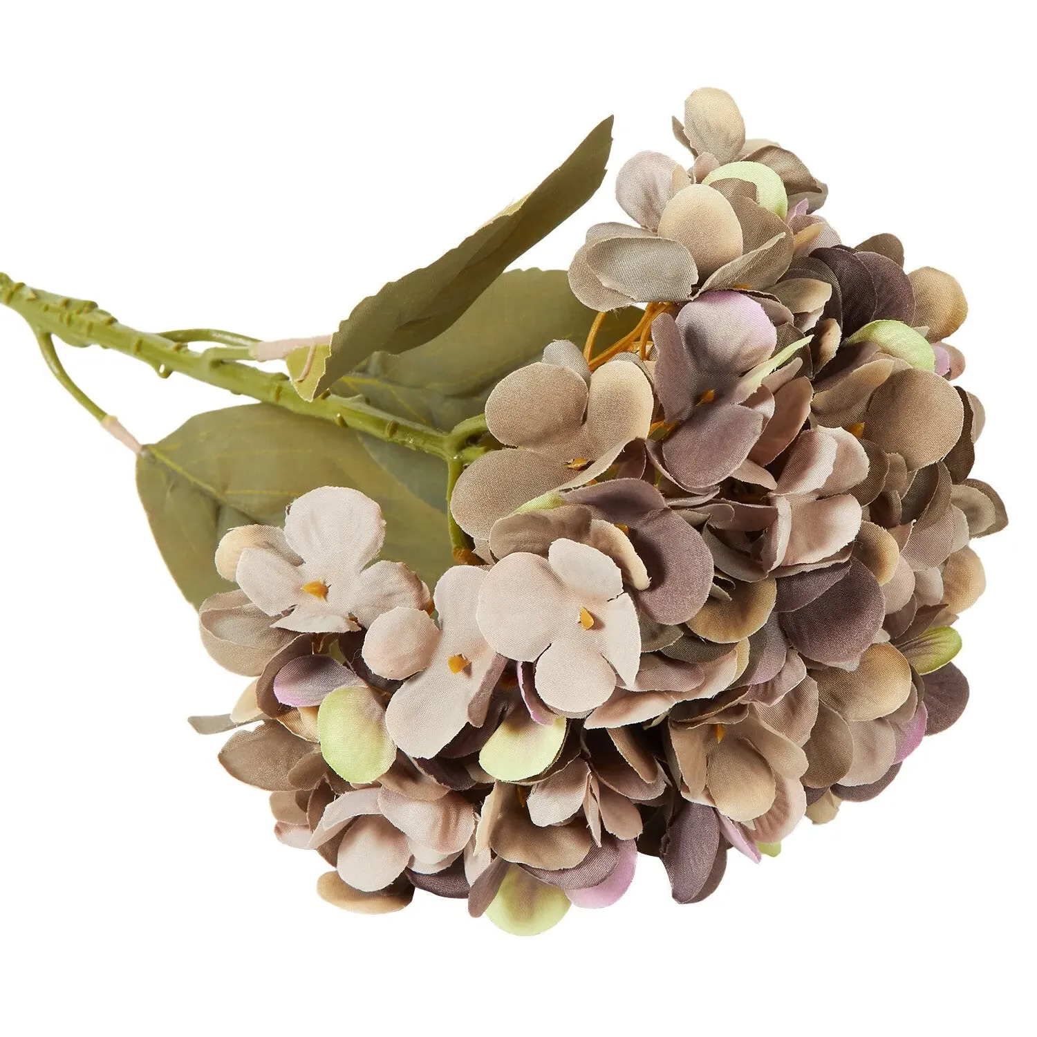 Hydrangea Single Stem - Orange or Purple