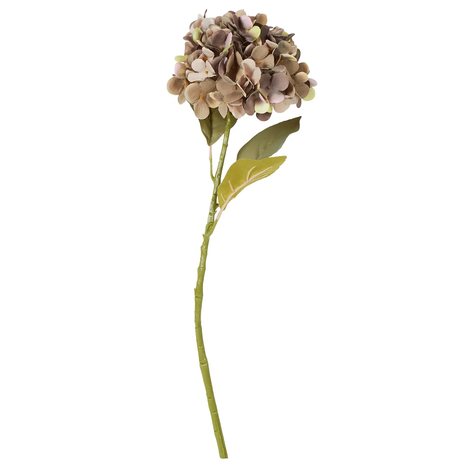 Hydrangea Single Stem - Orange or Purple