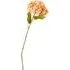 Hydrangea Single Stem - Orange or Purple