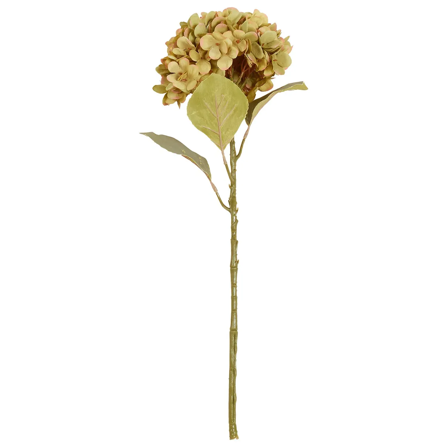 Hydrangea Stem - Green