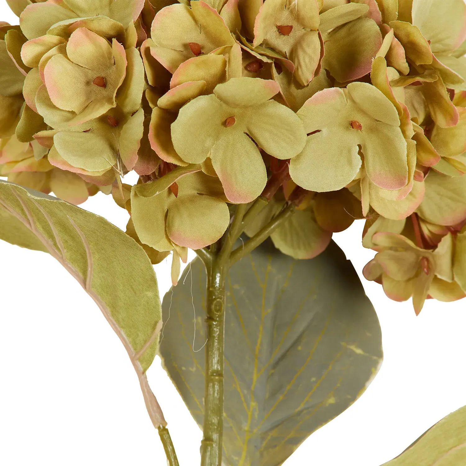 Hydrangea Stem - Green