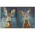 Ingram Curious Hare Framed Art Set of 2 - Blue, Brown