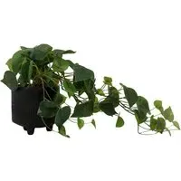 Ivy Artificial Plant in Footed Pot - Black