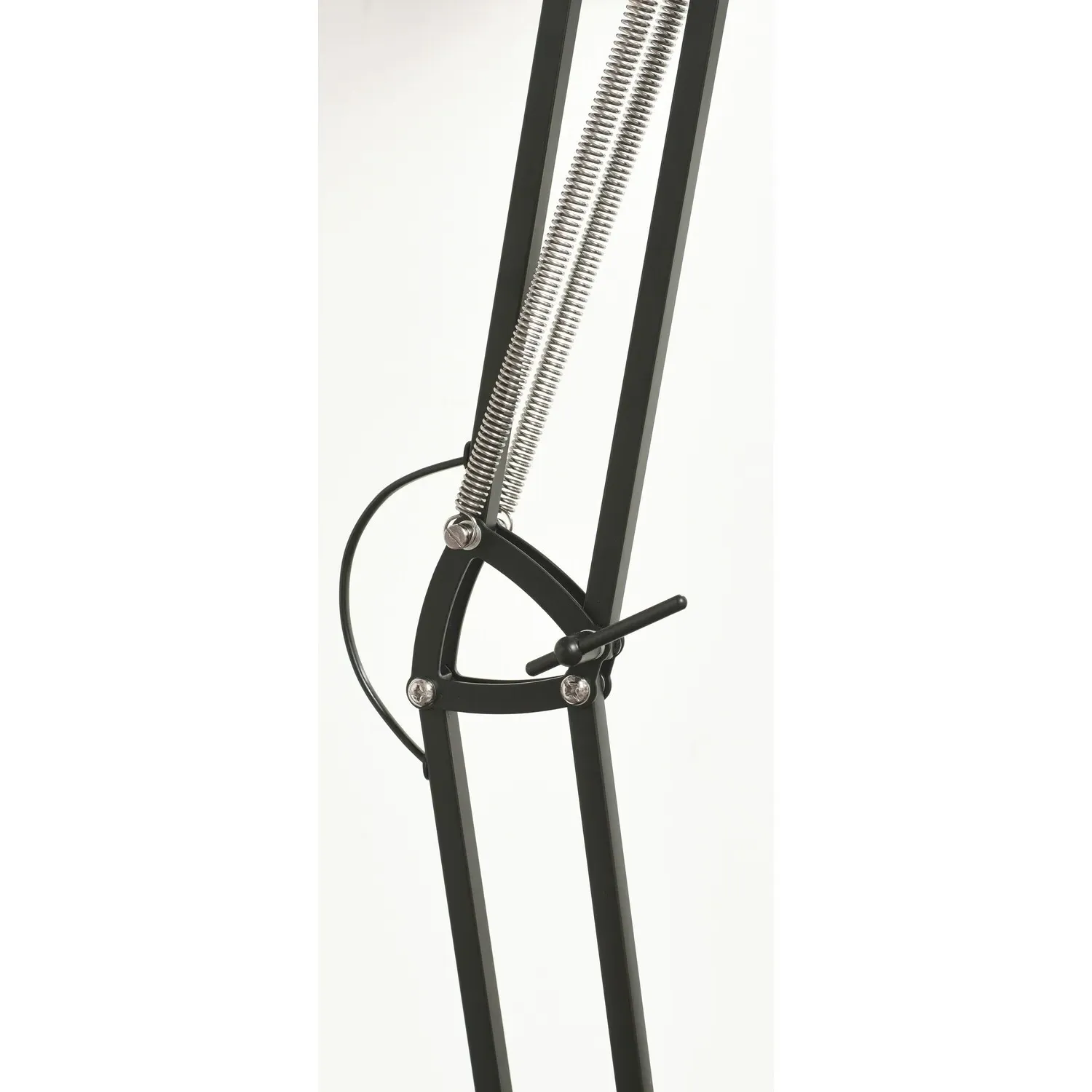 Jenson Adjustable Floor Lamp - Black, Metal