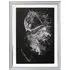 Jewelled Pirouette Framed Wall Art - Black