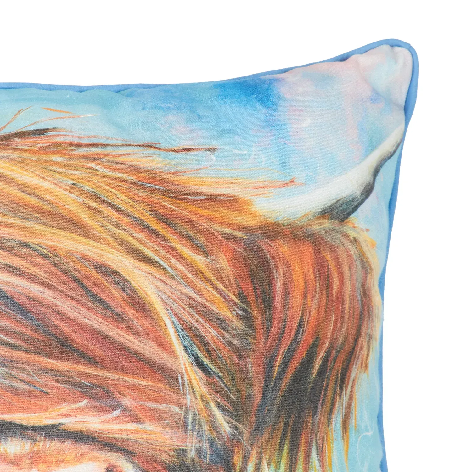 Julia Pankhurst Highland Cow Cushion 45x45cm