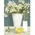 K.White Neutral Floral Lemons Canvas
