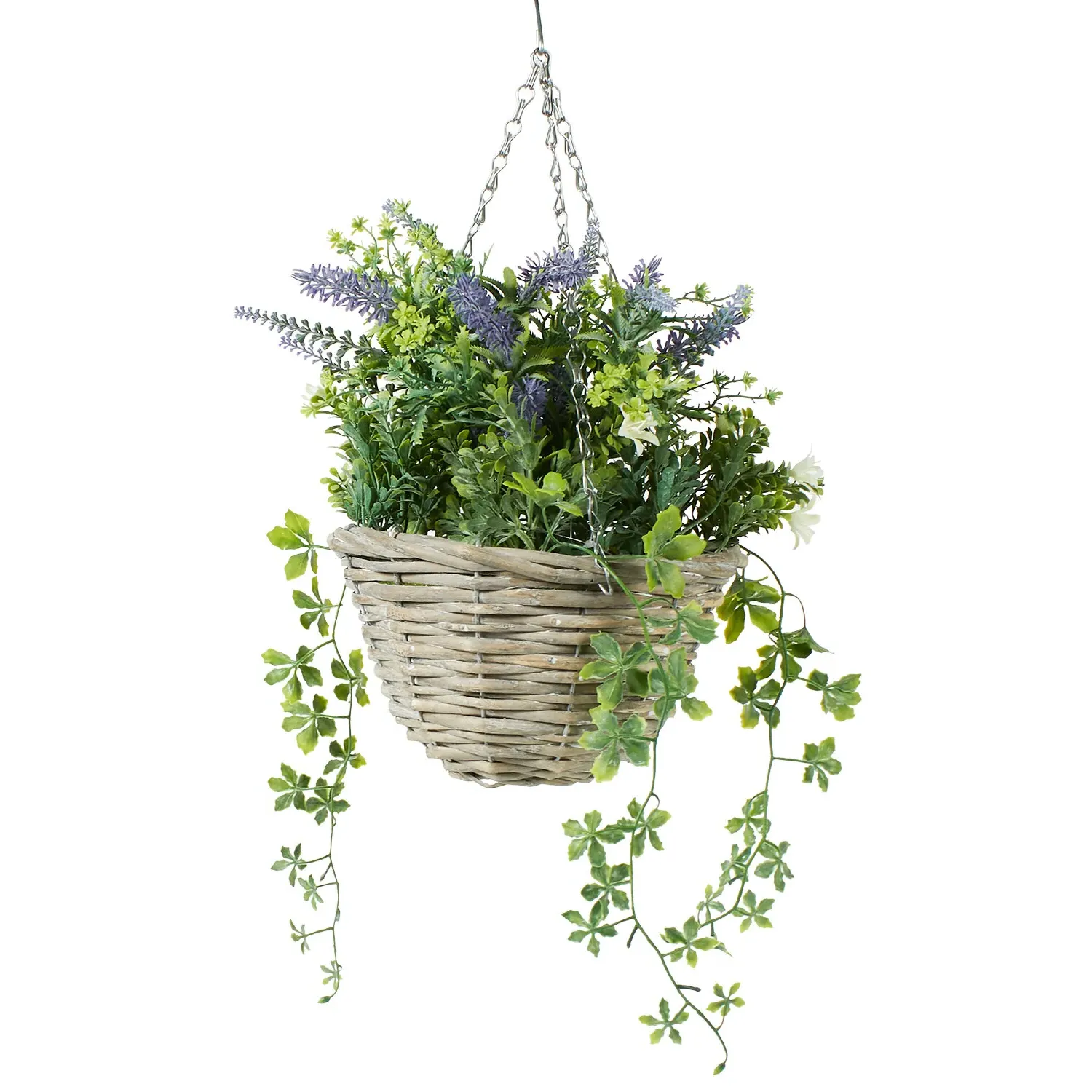 Lavender Hanging Basket - Purple, Green