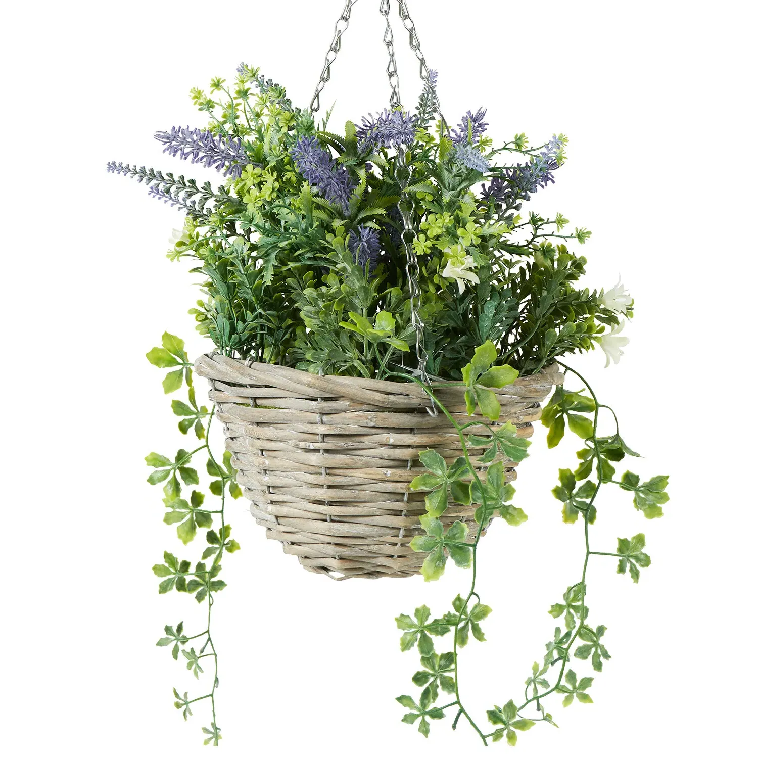 Lavender Hanging Basket - Purple, Green