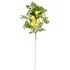Lemon Spray 76cm - Green, Yellow