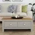 Lexington 2 Drawer Coffee Table - Grey, Oak