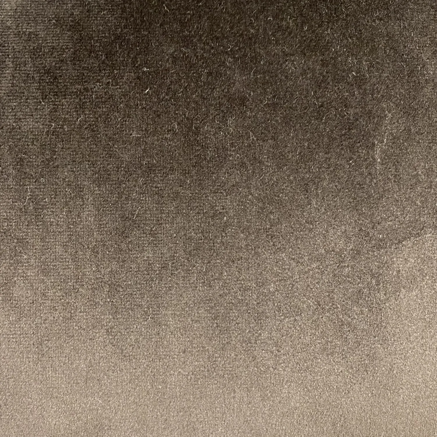 Library Cushion - Multicolour