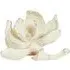 Magnolia Ornament - White