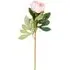 Millicent Faux Peony Stem - Assorted Colors