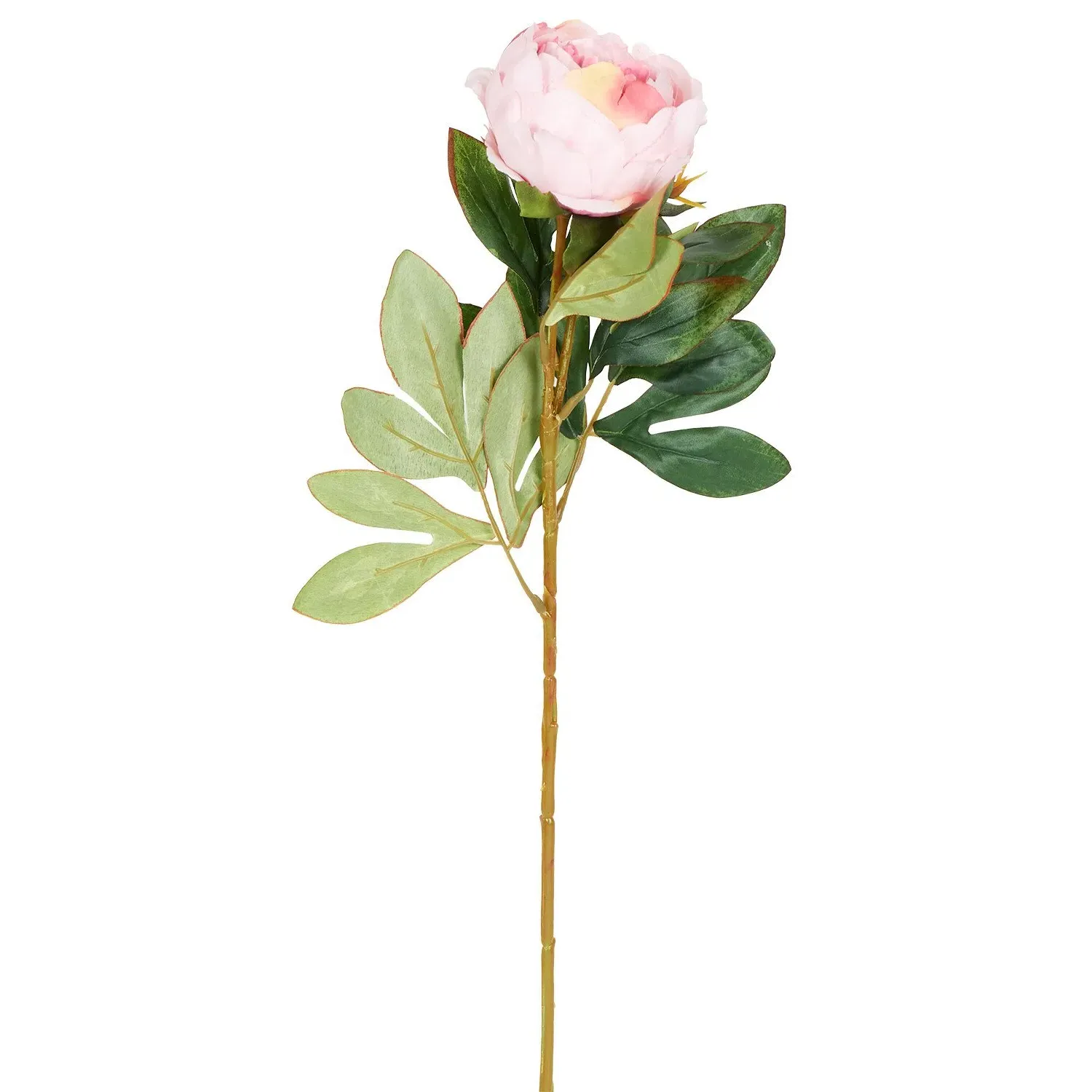 Millicent Faux Peony Stem - Assorted Colors image