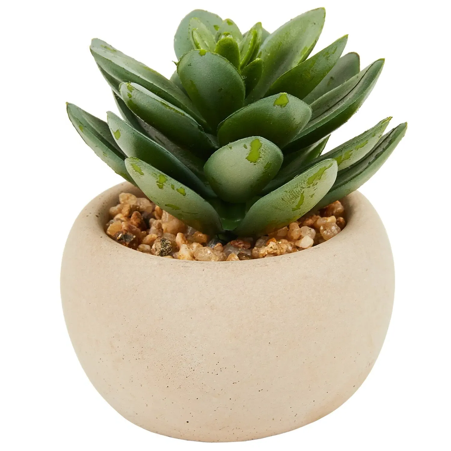 Mini Succulent in Pot - Green, Cream image