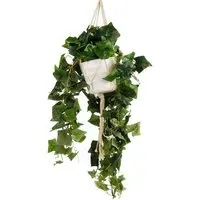 Nordic Hanging Artificial Plant - Green