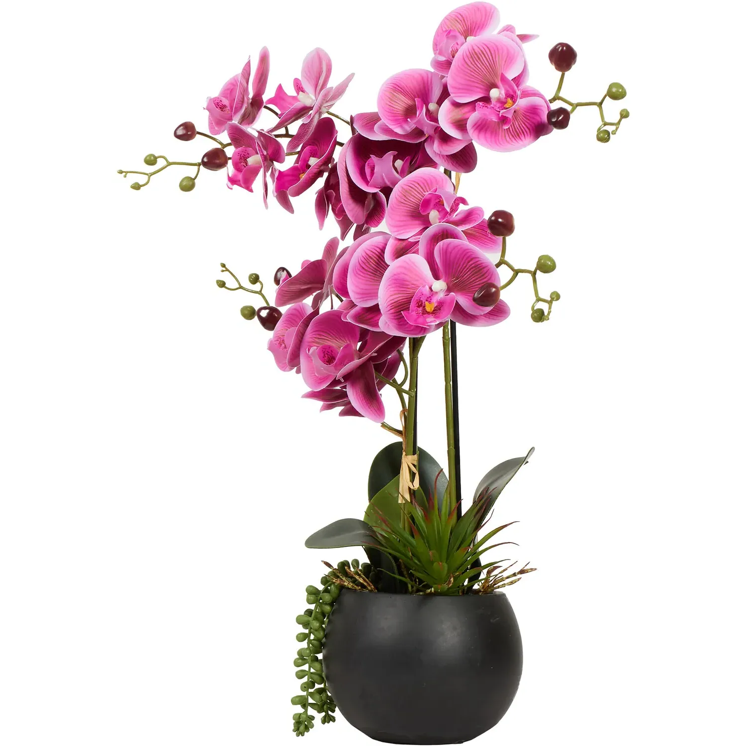 Orchid with Succulent Artificial Plant - Pink, Black Pot