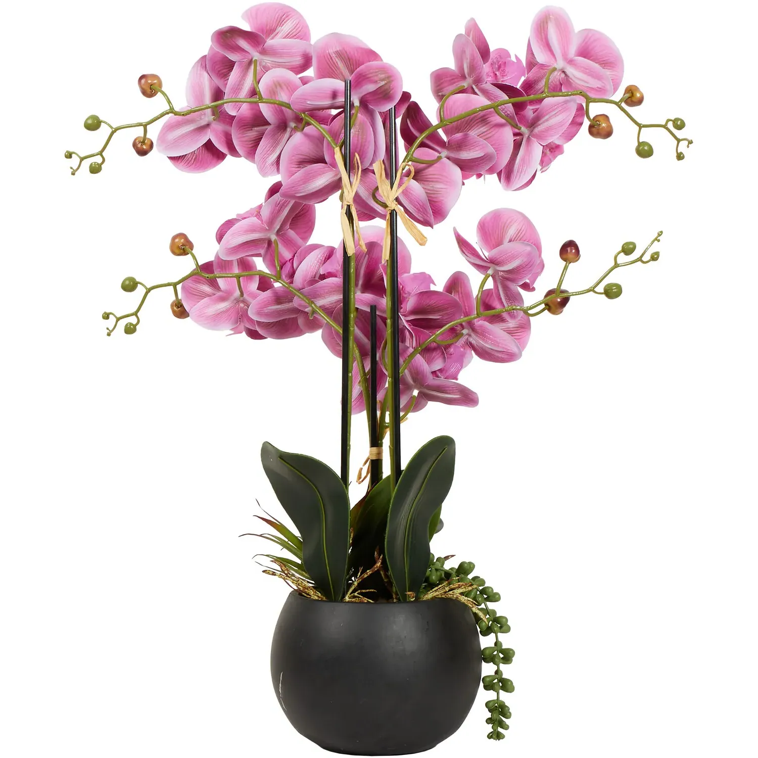 Orchid with Succulent Artificial Plant - Pink, Black Pot
