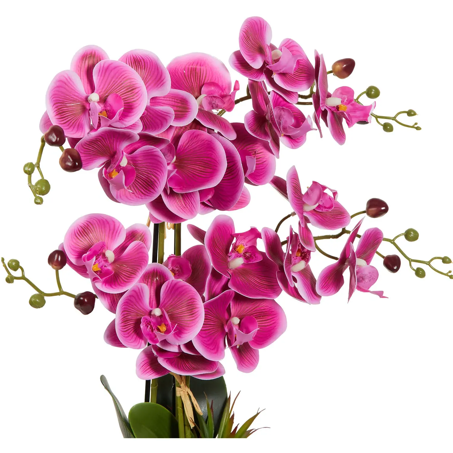 Orchid with Succulent Artificial Plant - Pink, Black Pot