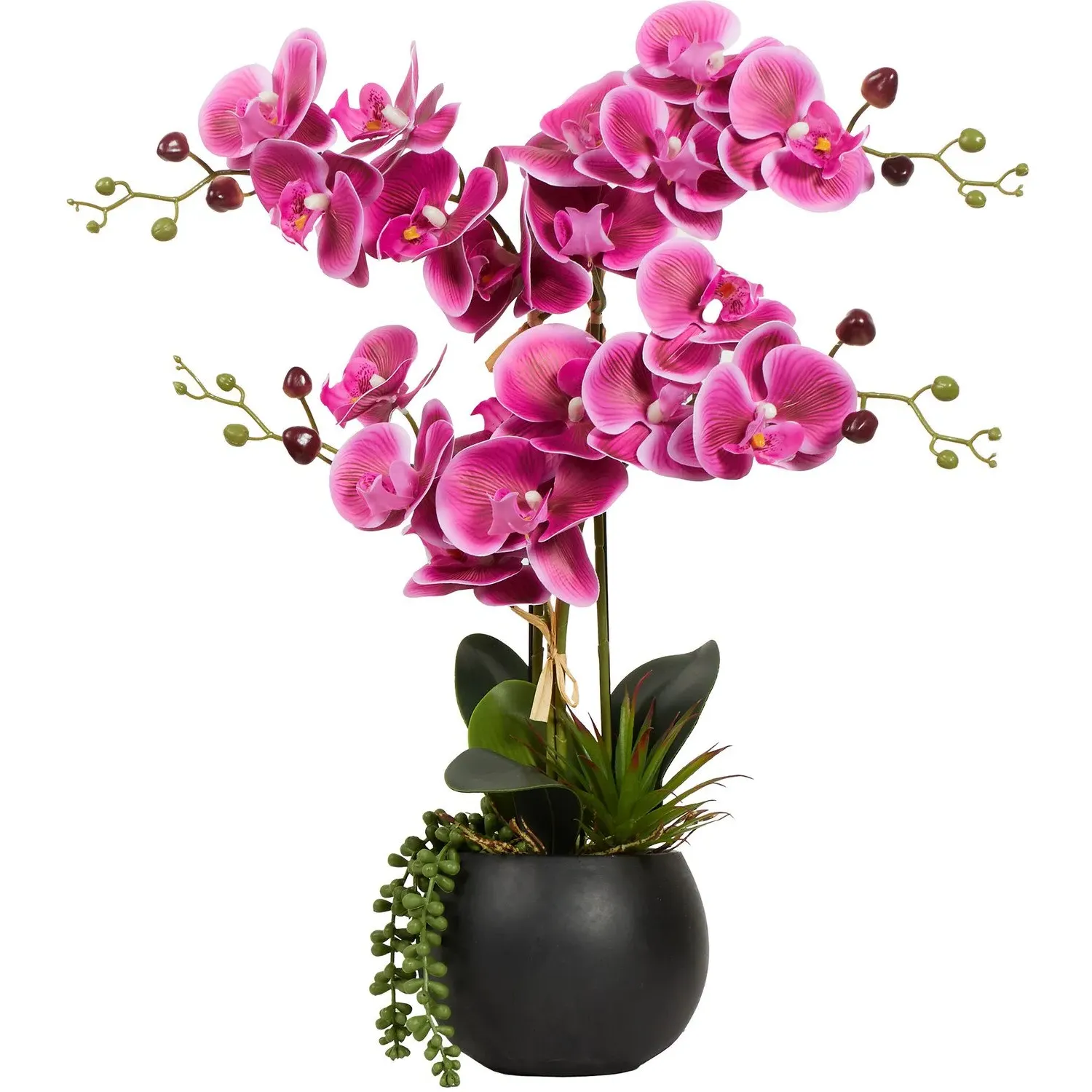Orchid with Succulent Artificial Plant - Pink, Black Pot