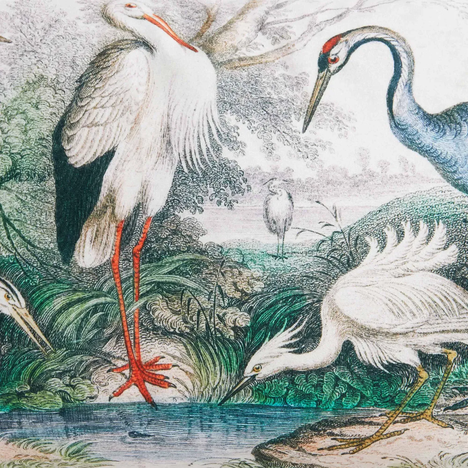 Oriental Birds Cushion - Multicolour