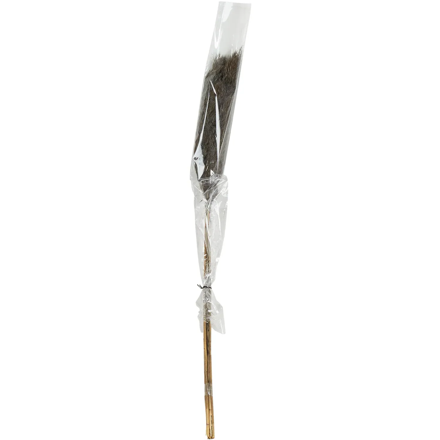 Pack of 5 Pampas Stems - Grey