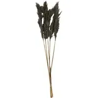 Pack of 5 Pampas Stems - Grey