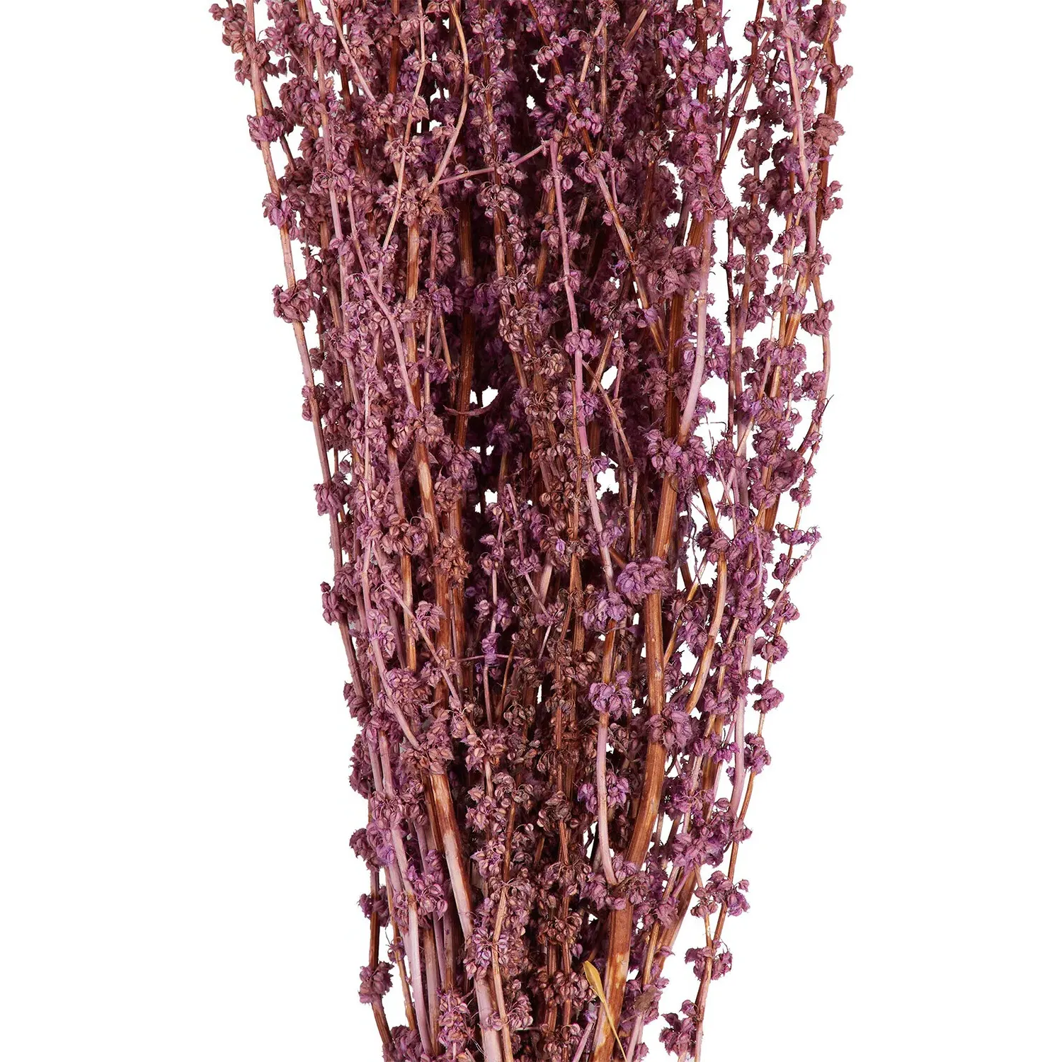 Palang Grass Bouquet - Lavender