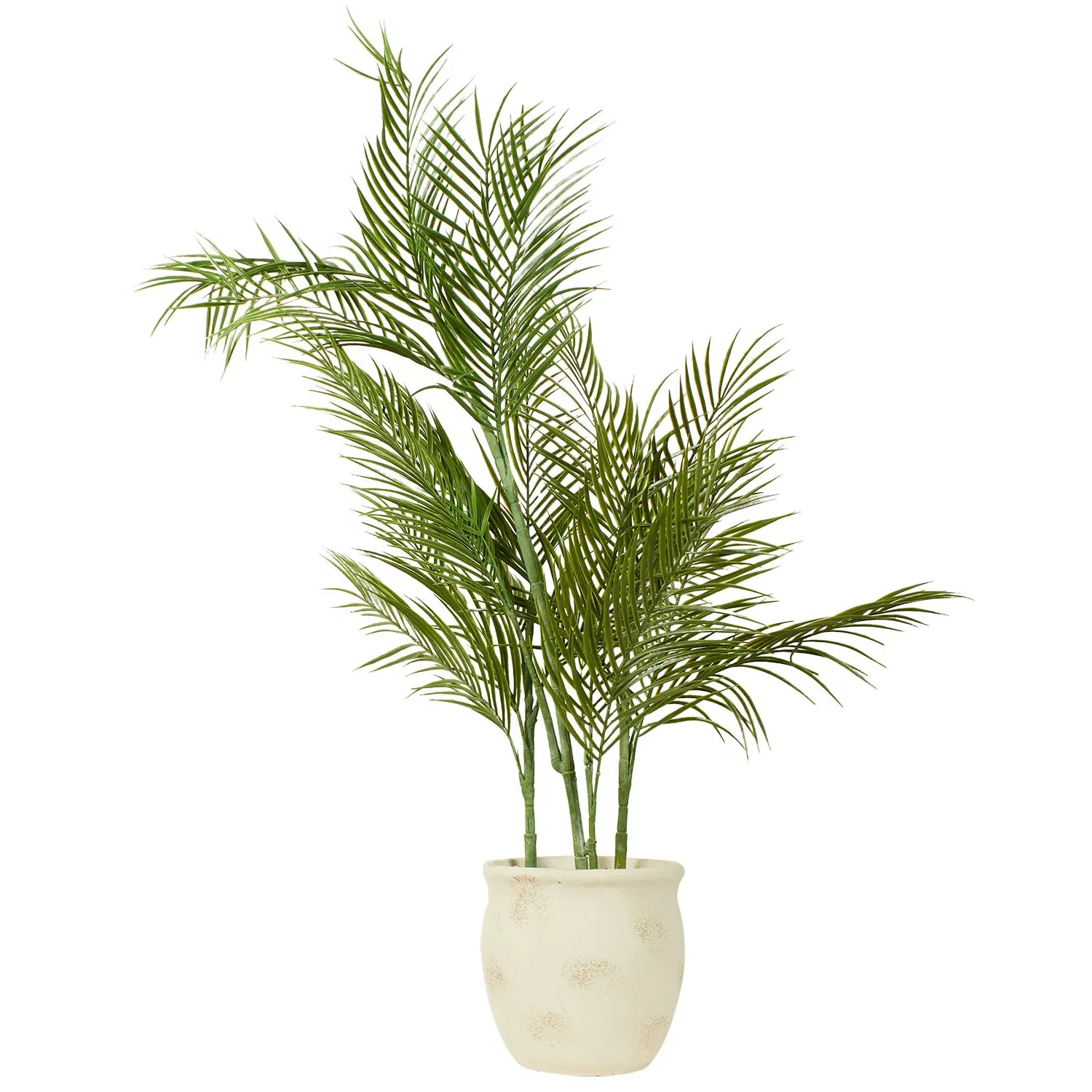 Palm in Cement Pot 100cm - Green