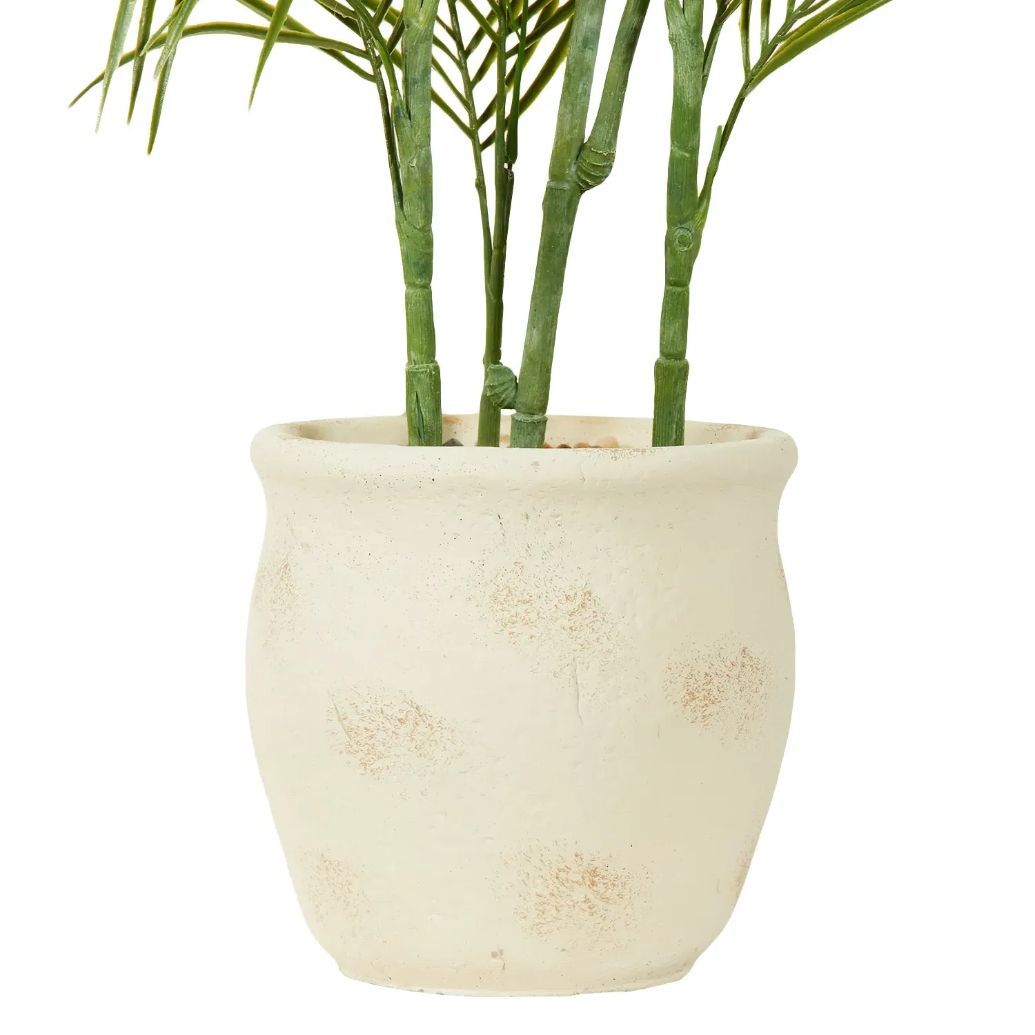 Palm in Cement Pot 100cm - Green