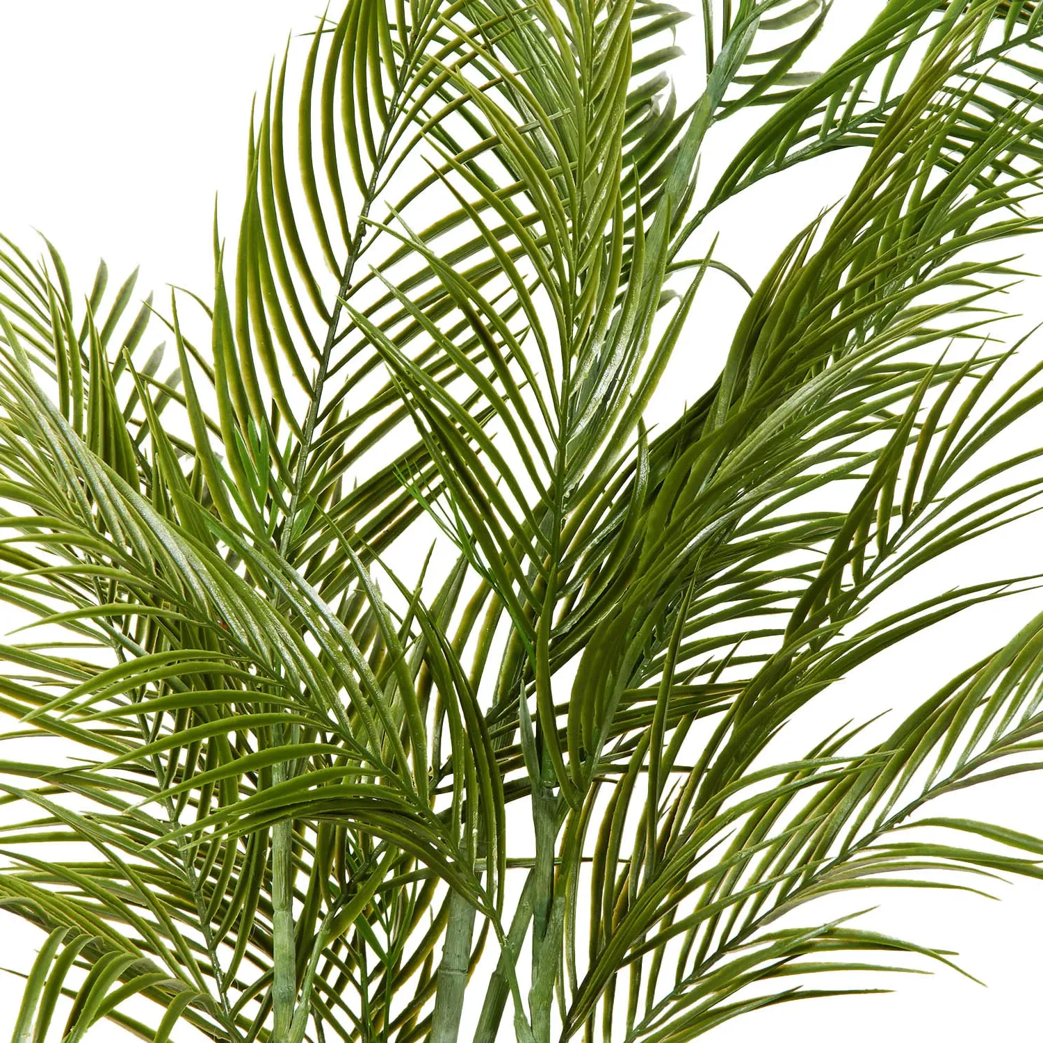 Palm in Cement Pot 100cm - Green