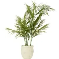 Palm in Cement Pot 100cm - Green