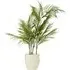 Palm in Cement Pot 100cm - Green