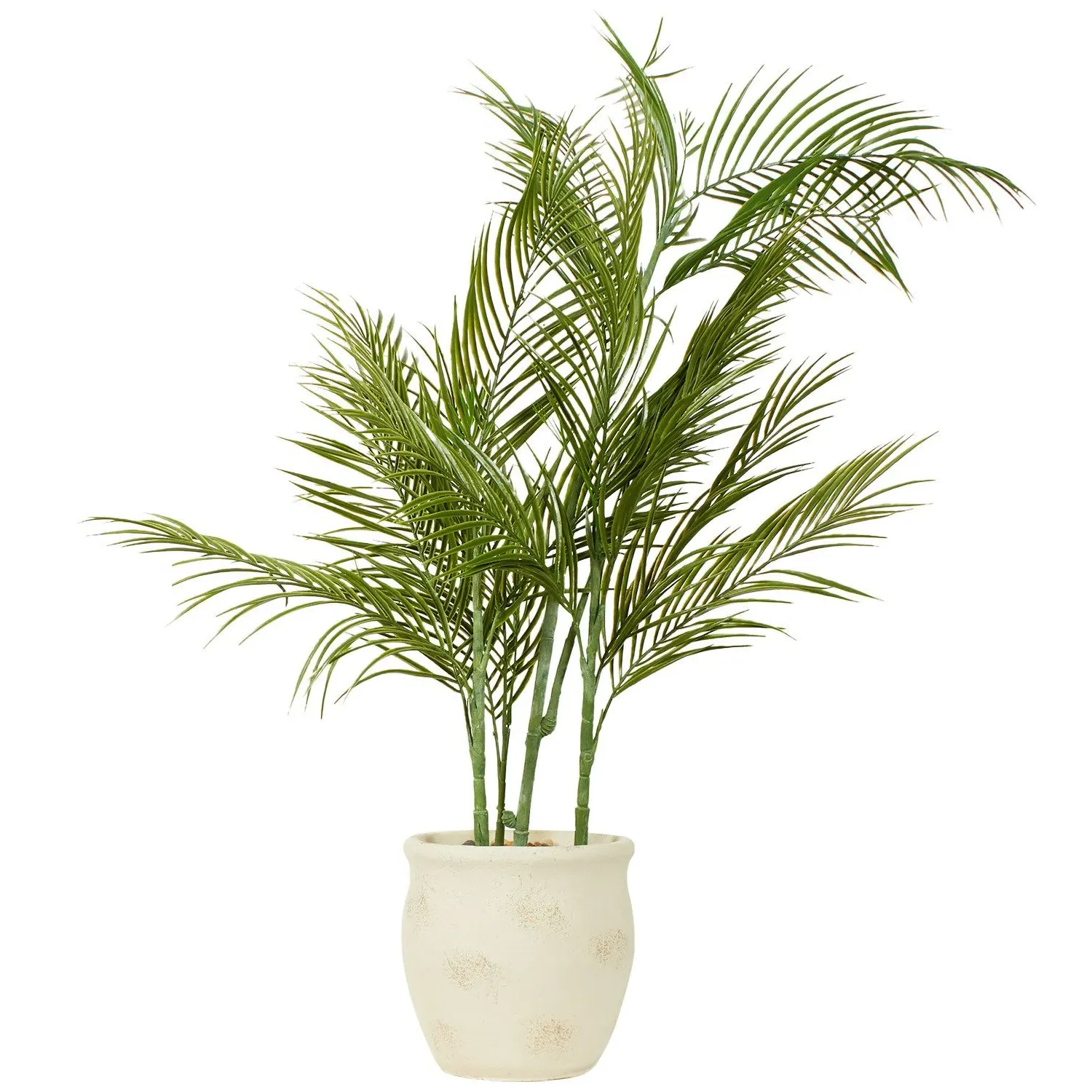 Palm in Cement Pot 100cm - Green