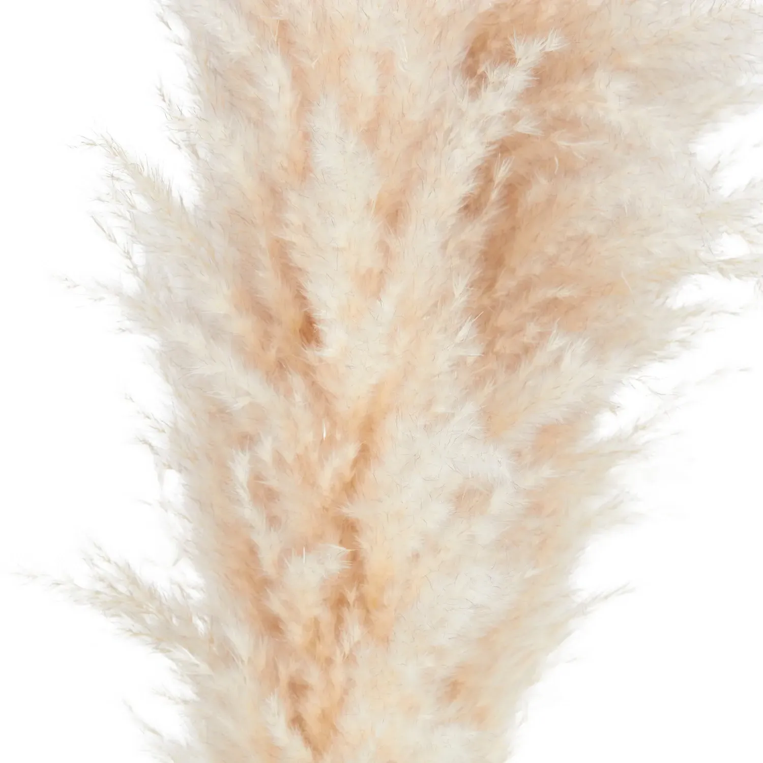 Palm Leaf Arrangement 95cm - Natural