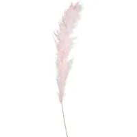Pampas Stem - Pink