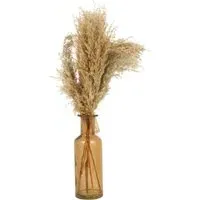 Pampas Vase Arrangement - Neutral, Amber Glass