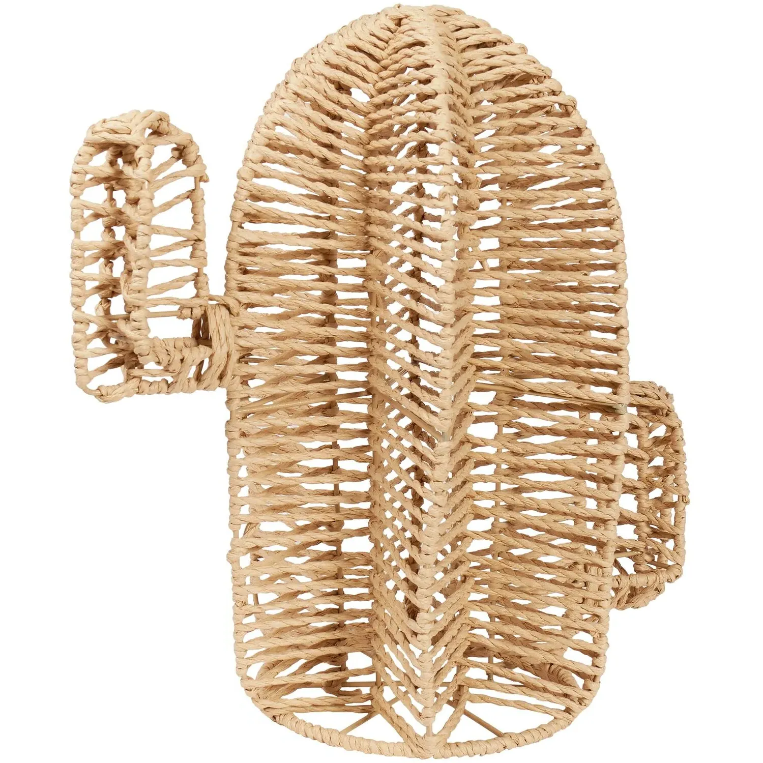 Paper Rope Cactus - Natural image