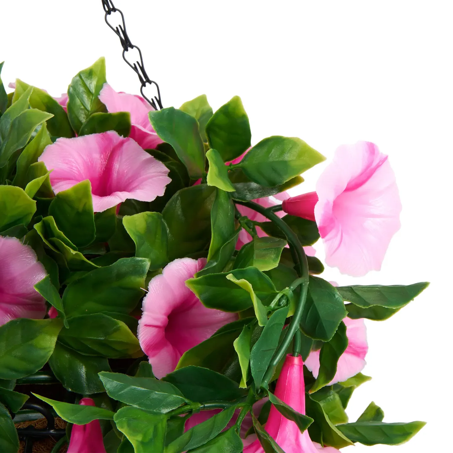 Petunias Hanging Basket - Pink
