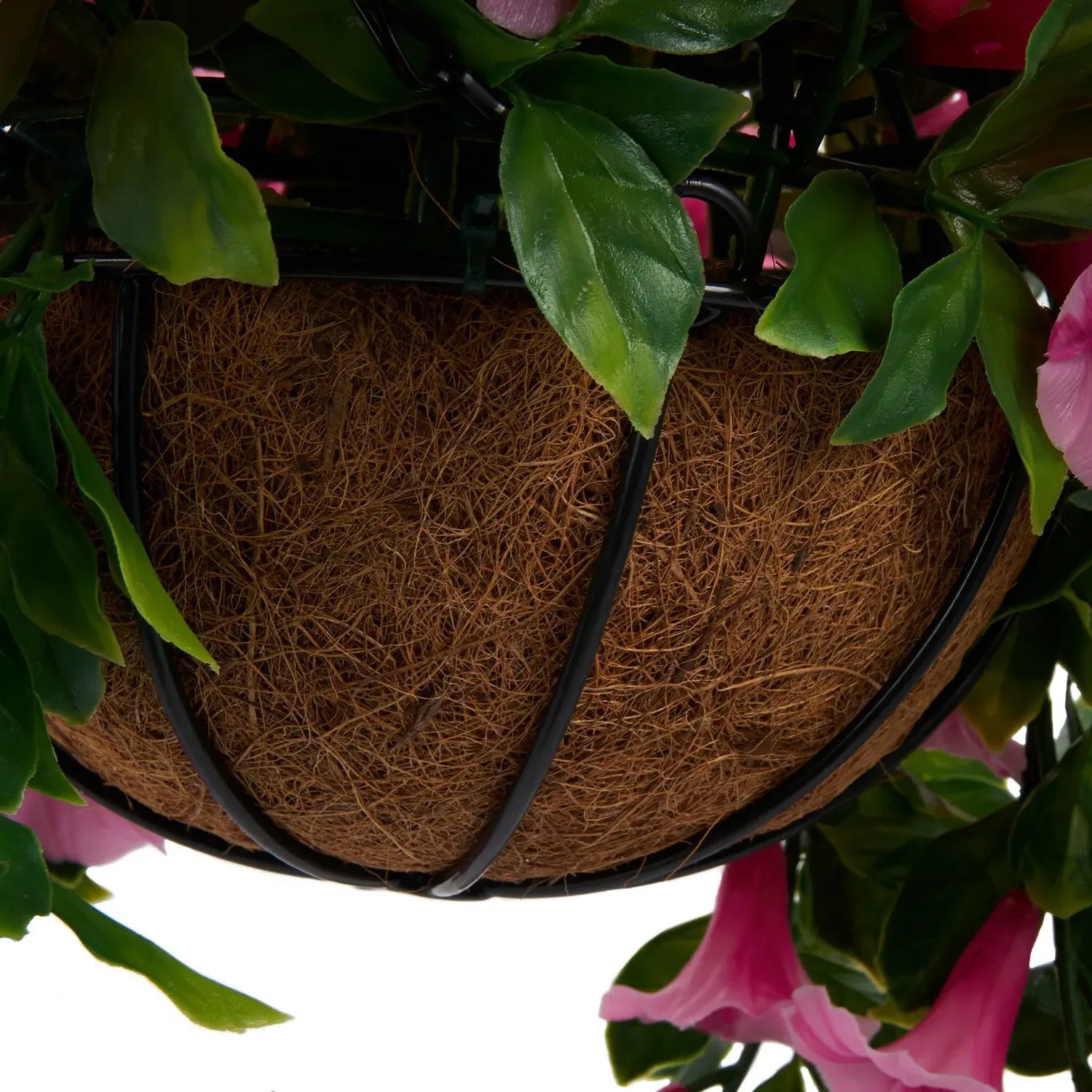 Petunias Hanging Basket - Pink