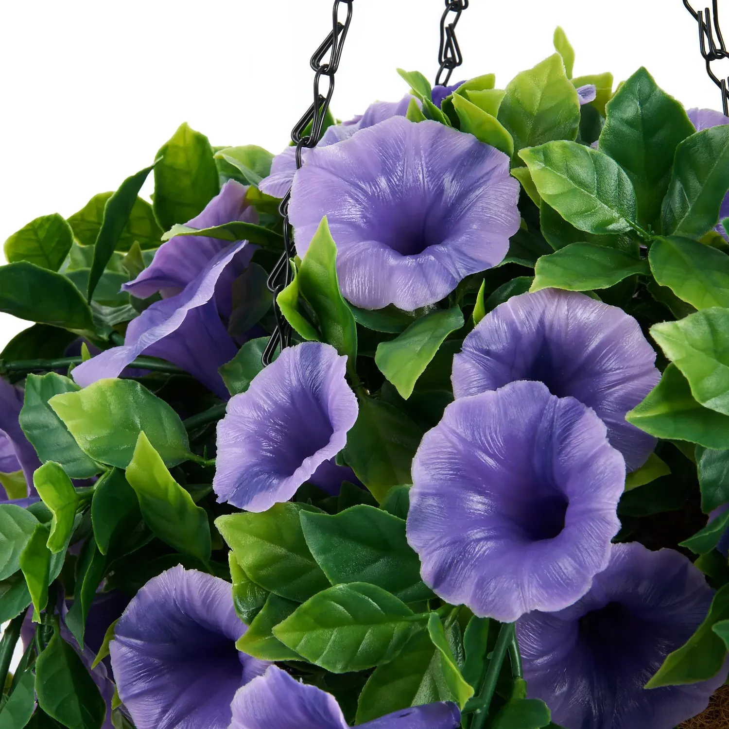 Petunias Hanging Basket - Purple