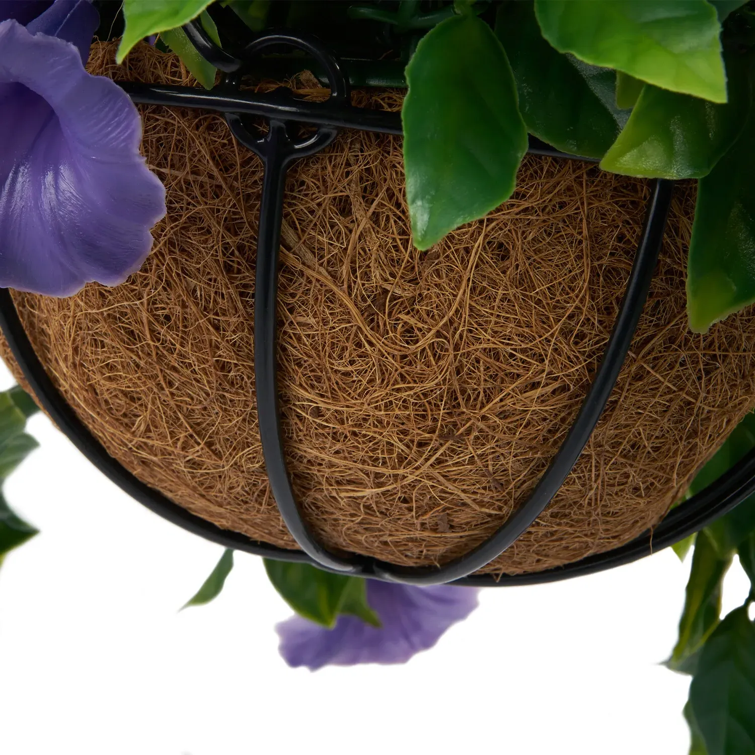 Petunias Hanging Basket - Purple