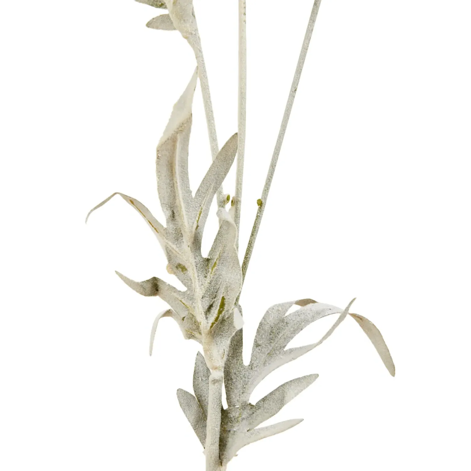 Pom Pom Decorative Stem - Sage