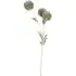 Pom Pom Decorative Stem - Sage