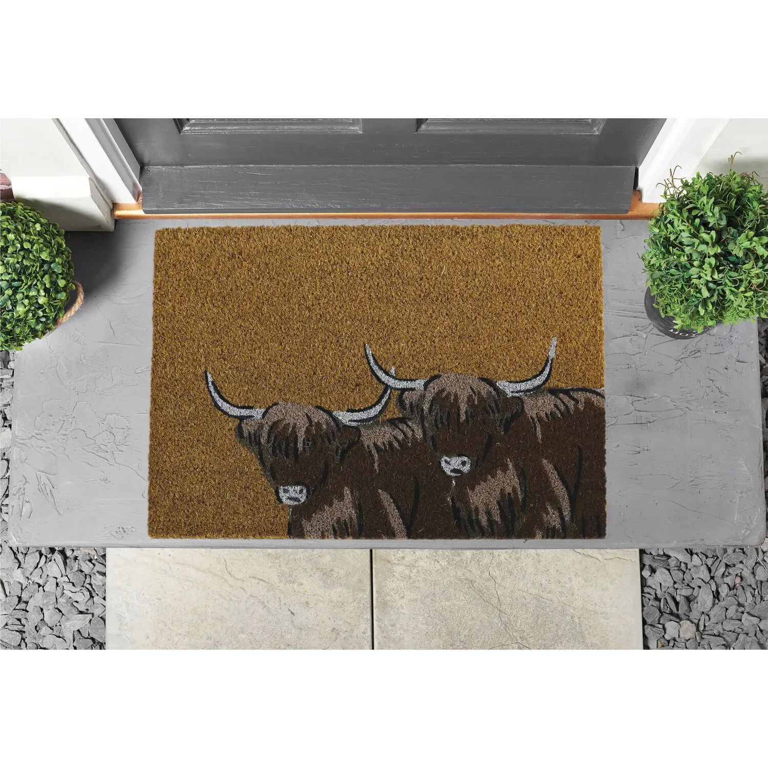 Printed Coir Doormat with PVC Backing - Brown, 60x40cm