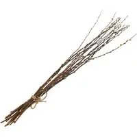 Pussywillow Bouquet - Natural