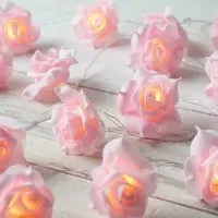 Rose Battery Powered LED String Light - Pink