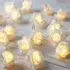 Rose Battery Powered LED String Light - White