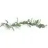 Rose Eucalyptus Garland - White
